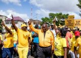 Alan’s boys damaged NPP electorally and reputationally – Hackman