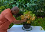 President Mahama honoured with orchid hybrid in Singapore