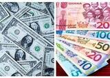 Cedi starts 2026 on a positive note: one dollar going for GH¢12.10 at forex bureaus