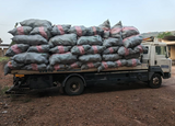 Police destroy 600 sacks of Indian Hemp worth about GH¢4.2Bn