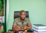 Timber Industry hails Mahama’s appointment of new Forestry Commission CEO