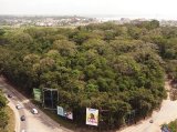 Western Region: Ecology of Monkey Hill at risk due to Paa Grant-Sekondi road project
