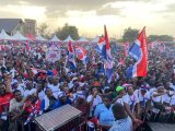 See the 14 crucial NPP reforms proposed by the Council of Elders