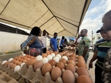 Eggs-travaganza: Multimedia Group’s Christmas Egg Market reaches grand finale today