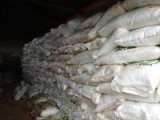 Nadowli-Kaleo District distributes fertilisers, maize seeds to support farmers
