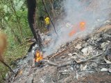 Helicopter crash: The scene should have been cordoned off – President of Ghana Academy of (…)