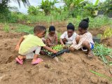 QET Organic Farms cultivates young farmers with ‘Growing Green Minds’