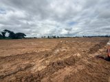 Some small-scale miners initiate reclamation as government pursues irresponsible miners