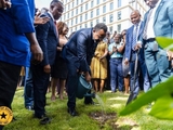 BOG Governor leads tree-planting exercise to mark Cedi@60