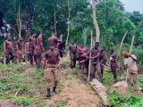Sunyani Central Prison undertakes large-scale farming to boost inmate welfare