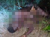 Western Region: Lifeless body of 24-year-old man found at Eshiem