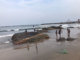 Migration induced by coastal erosion: The Shama experience