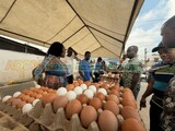 Egg Glut Relief: Poultry farmers set up with lower prices at Joy FM X’mas Egg Market