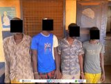 Sangbana: 4 arrested over murder of 70-year-old woman accused of being a witch