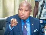 Visa delays due to logistical failures by US Postal Service – Ablakwa