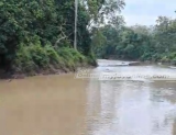 Illegal miners seize farmlands, pollute Black Volta tributary in Bole-Bamboi