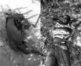 Machete attack in Adansi South: Marijuana-influenced assault sparks mob reprisal