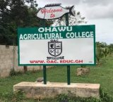 Edem Agbana writes to Agric Minister, demands urgent action on Ohawu Agric College