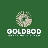 GoldBod is complicit, compromised in galamsey fight – Adomako Kissi