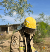 GNFS rescues Okorase after bee swarm invades community