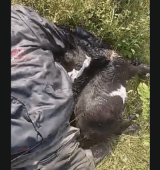 Mechanic found dead under mysterious circumstances at Larabanga