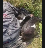 Mechanic found slaughtered beside goat, motorbike at Larabanga