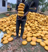 Police intercepts 4,000 parcels of suspected narcotics concealed in truck at Dambai