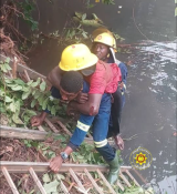 Mate escapes death as truck carrying 600 bags of cement plunges into Tano River