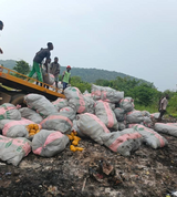 Police destroy 600 sacks of Indian hemp in Ho worth about GH¢4.2bn