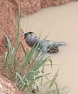 Woman drowns in abandoned galamsey pit at Anyaaso in Ashanti region