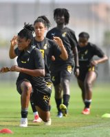 WAFCON 2024: We’re in a great position – Björkegren ahead of Tanzania showdown