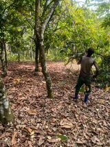 Cocoa farmers are frustrated, galamsey taking over – 2018 Best Farmer warns [Listen]