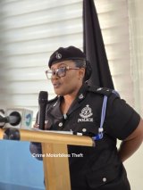 Police arrest alleged serial motorbike thief