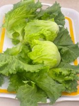 When Lettuce becomes a treasure