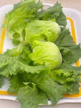 When Lettuce becomes a treasure