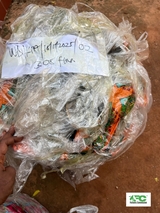 Forestry Commission seizes over 3,000 dried shark fins at Kotoka Airport