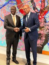 Government unveils plan to create 500,000 jobs through expansion of economic crops like oil palm