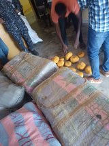 Four arrested with 2,250 parcels of suspected Indian hemp in KEEA