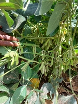 When climate change clashes with religious beliefs: A climatic urgency in northern Ghana