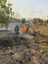 U/W: Fire causes partial damage to plantations