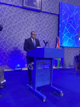 Brogya Gyenfi calls for re-imagining of peace operations amid rising global uncertainty