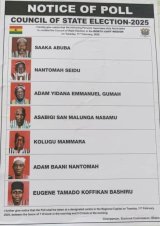 Saaka Abuba wins North East Council of State election in re-run