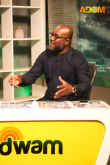 Bawumia poised to win over 65% in NPP primaries – Egyapa Mercer