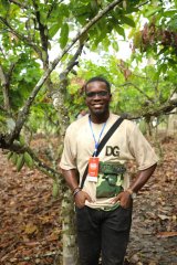 Samuel Addo writes; Sustainability month: Driving change through cocoa