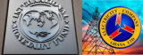 IMF endorses ECG privatisation