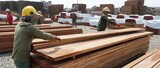 Global forest products trade and production show signs of recovery in 2024 – FAO