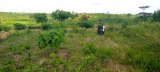 World Environment Day: Stakeholders urge collaborative effort for sustainable ecosystem restoration