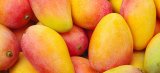 Ghana earned $75m from mango exports in 2024