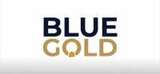 Cayman Court halts Blue Gold EGM over alleged shareholder rights breach