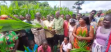 World Bank donates 2,000 seedlings to Adansi South farmers